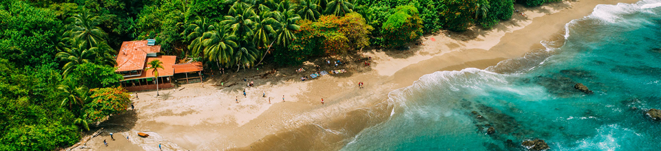 จุดท่องเที่ยวริมทะเลที่มีหาดทรายขาว ต้นปาล์ม และน้ำทะเลสีฟ้าใส